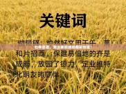 壮举连连，淘汰赛前场场精彩纷呈！