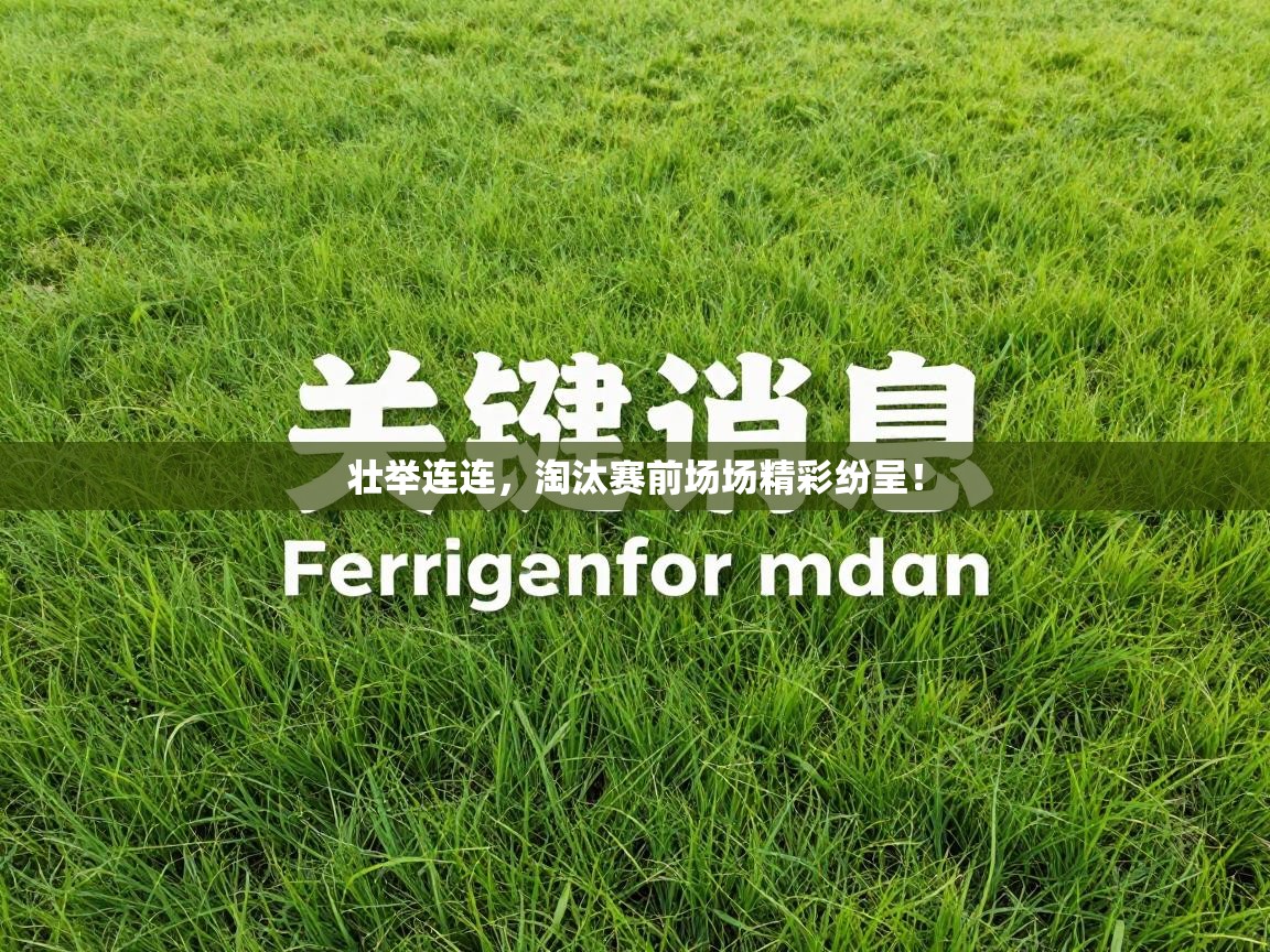 壮举连连，淘汰赛前场场精彩纷呈！  第2张