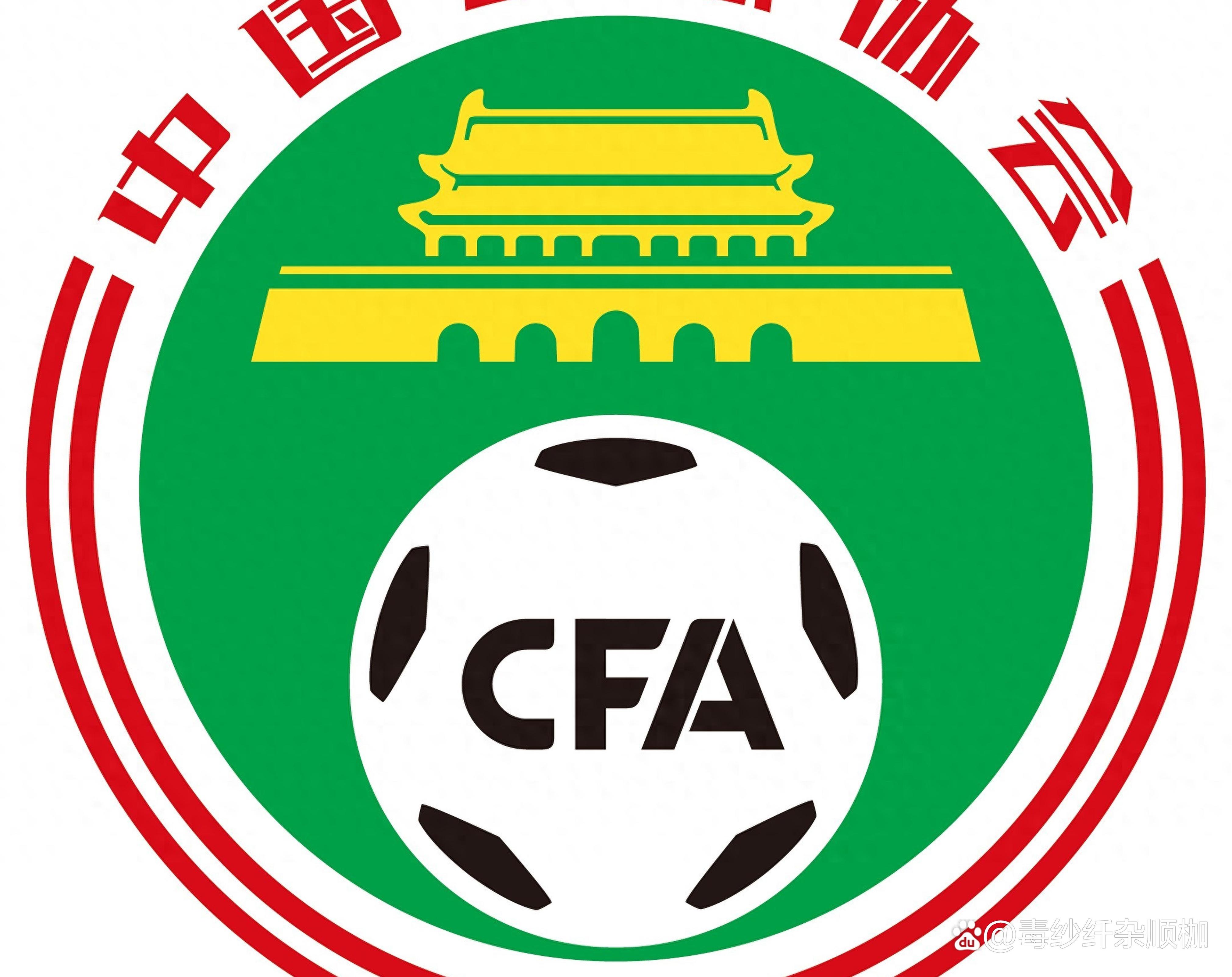 申花大胜河北，一步之遥闯入中超争冠行列的简单介绍